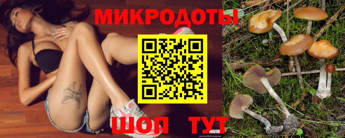 Галлюциногенные грибы Magic Shrooms Псков