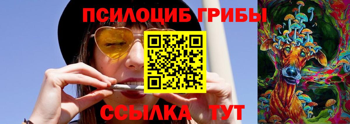 Галлюциногенные грибы прущие грибы  Галлюциногенные грибы прущие грибы  Псков  купить наркотик  Вход с VPN 